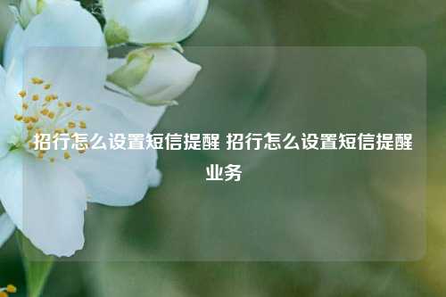 招行怎么设置短信提醒 招行怎么设置短信提醒业务