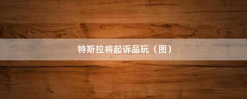 特斯拉将起诉品玩（图）