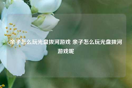亲子怎么玩光盘拔河游戏 亲子怎么玩光盘拔河游戏呢