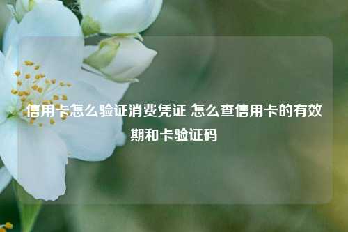 信用卡怎么验证消费凭证 怎么查信用卡的有效期和卡验证码