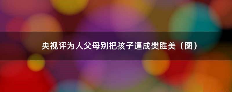 央视评为人父母别把孩子逼成樊胜美（图）