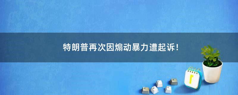 特朗普再次因煽动暴力遭起诉！