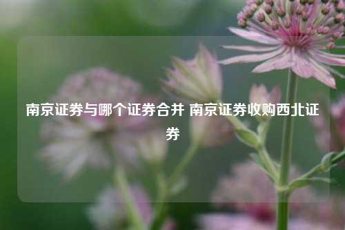 南京证券与哪个证券合并 南京证券收购西北证券