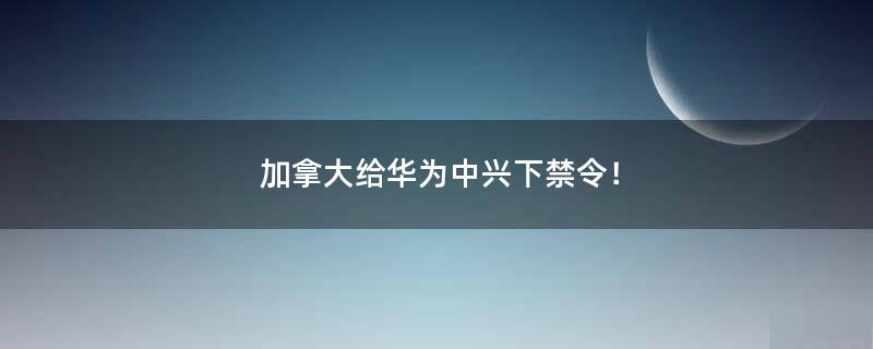 加拿大给华为中兴下禁令！