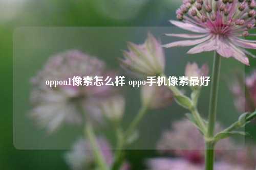 oppon1像素怎么样 oppo手机像素较好