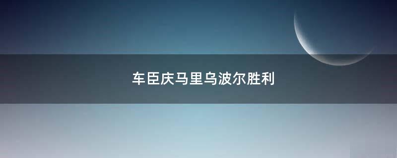 车臣庆马里乌波尔胜利