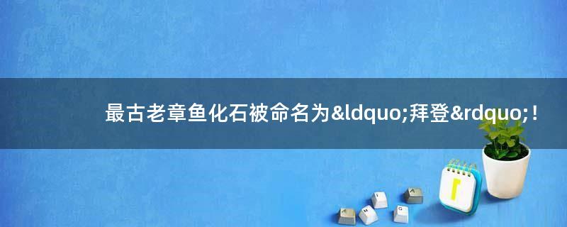 最古老章鱼化石被命名为“拜登”！