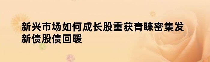 新兴市场如何成长股重获青睐 密集发新债 股债回暖