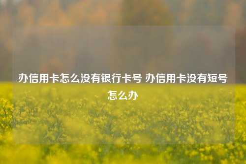 办信用卡怎么没有银行卡号 办信用卡没有短号怎么办