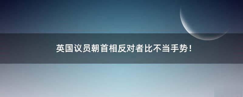 英国议员朝首相反对者比不当手势！