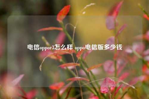 电信oppor3怎么样 oppo电信版多少钱