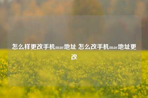 怎么样更改手机mac地址 怎么改手机mac地址更改