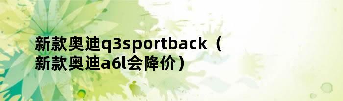 新款奥迪q3sportback（新款奥迪a6l会降价）