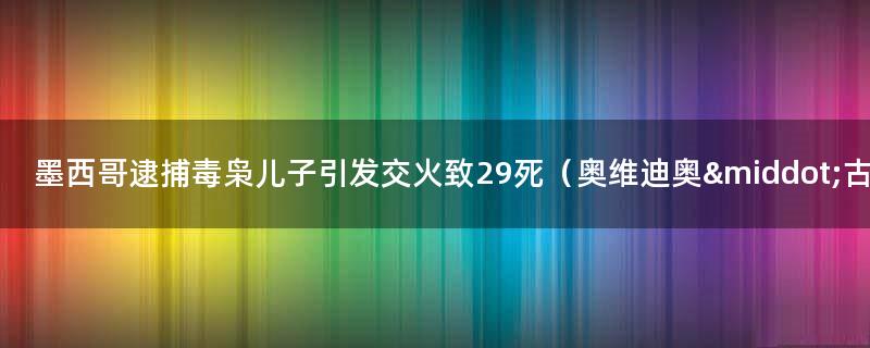 墨西哥逮捕毒枭儿子引发交火致29死（奥维迪奥·古兹曼）