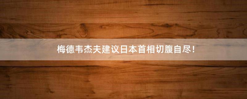 梅德韦杰夫建议..首相切腹自尽！