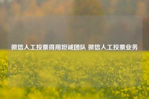 微信人工投票得用坦诚团队 微信人工投票业务