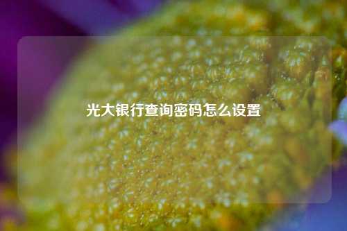 光大银行查询密码怎么设置