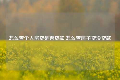 怎么查个人房贷是否贷款 怎么查房子贷没贷款