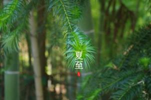 最新款的苹果手机（最新款的苹果手机什么时候发布）