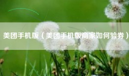 美团手机版（美团手机版商家如何验券）