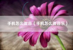 手机怎么混音（手机怎么混音乐）