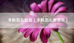 手机怎么混音（手机怎么混音乐）