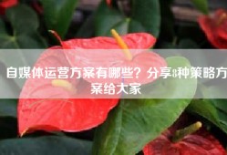 自媒体运营方案有哪些？分享8种策略方案给大家
