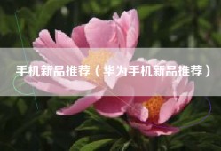 手机新品推荐（华为手机新品推荐）