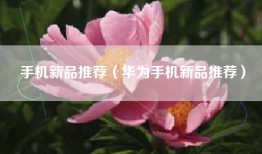 手机新品推荐（华为手机新品推荐）