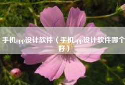 手机app设计软件（手机app设计软件哪个好）