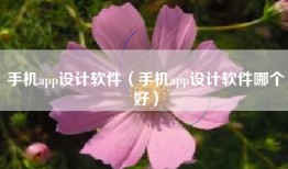 手机app设计软件（手机app设计软件哪个好）