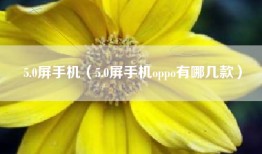 5.0屏手机（5.0屏手机oppo有哪几款）