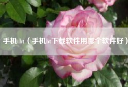手机 bt（手机bt下载软件用哪个软件好）