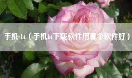 手机 bt（手机bt下载软件用哪个软件好）