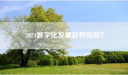 2024数字化发展趋势如何？