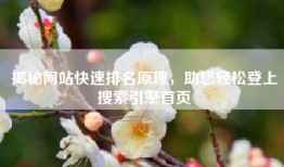 揭秘网站快速排名原理，助您轻松登上搜索引擎首页