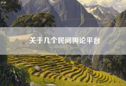 关于几个民间舆论平台