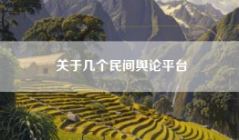关于几个民间舆论平台