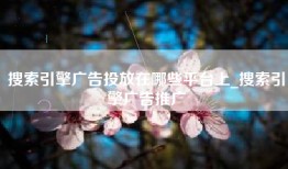 搜索引擎广告投放在哪些平台上_搜索引擎广告推广