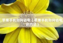 苹果手机如何省电（苹果手机如何省电的方法）