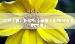 苹果手机如何省电（苹果手机如何省电的方法）