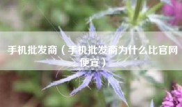 手机批发商（手机批发商为什么比官网便宜）