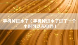 手机掉进水了（手机掉进水了过了一个小时可以充电吗）