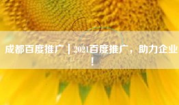 成都百度推广｜2021百度推广，助力企业！
