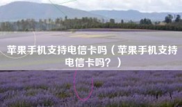 苹果手机支持电信卡吗（苹果手机支持电信卡吗？）