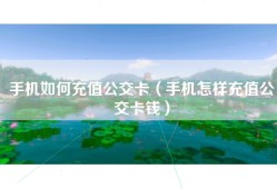手机如何充值公交卡（手机怎样充值公交卡钱）
