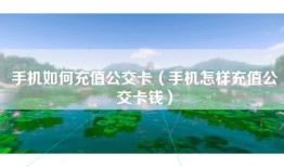 手机如何充值公交卡（手机怎样充值公交卡钱）