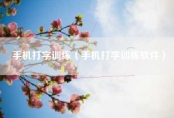 手机打字训练（手机打字训练软件）