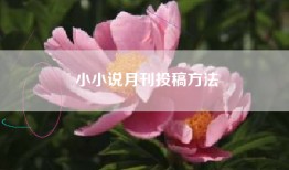 小小说月刊投稿方法