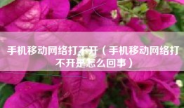 手机移动网络打不开（手机移动网络打不开是怎么回事）